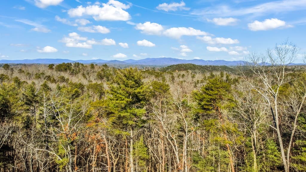3.12 ACR Eric Lane, Ellijay GA 30540 - Photo