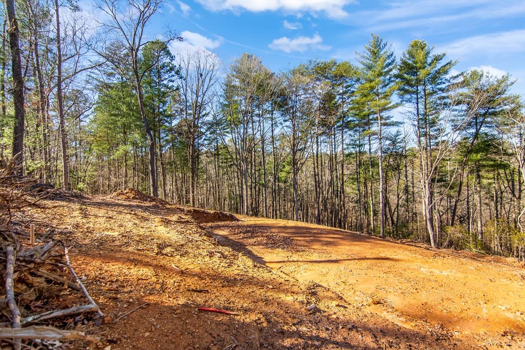 3.12 ACR Eric Lane, Ellijay GA 30540 - Photo