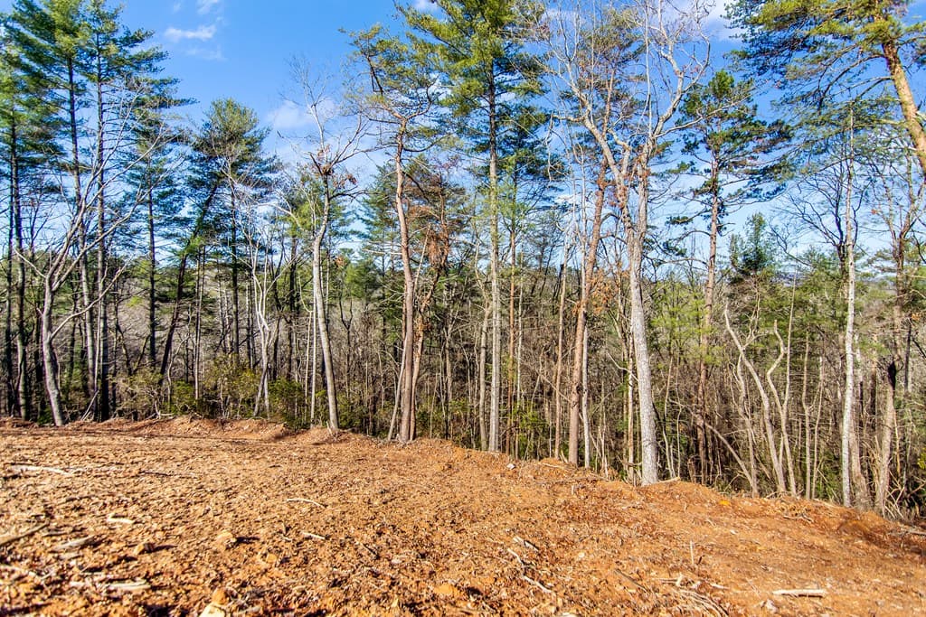 3.12 ACR Eric Lane, Ellijay GA 30540 - Photo