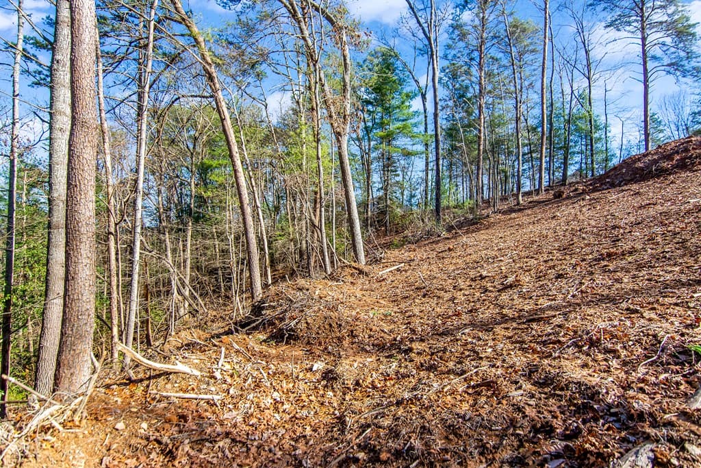 3.12 ACR Eric Lane, Ellijay GA 30540 - Photo