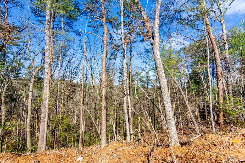3.12 ACR Eric Lane, Ellijay GA 30540 - Photo