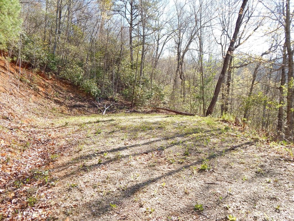 #11-2&12 Tree Top Drive, Hayesville NC 28904 - Photo