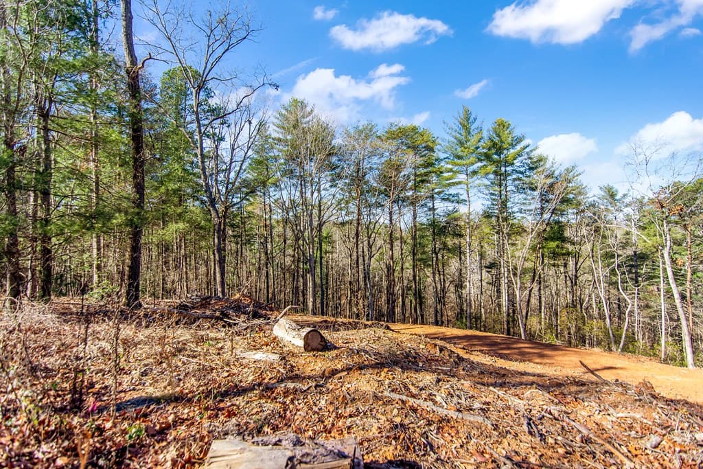 LT 10R Whispering Oaks Drive, Ellijay GA 30540 - Photo