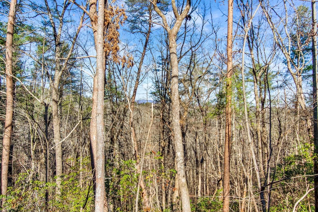 LT 10R Whispering Oaks Drive, Ellijay GA 30540 - Photo