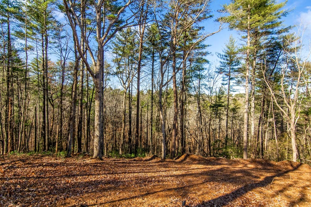 LT 10R Whispering Oaks Drive, Ellijay GA 30540 - Photo