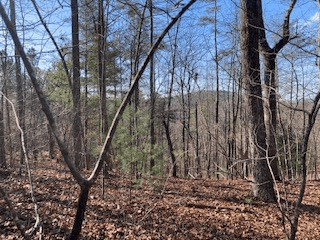 LT 1145 Monet Drive, Ellijay GA 30540 - Photo