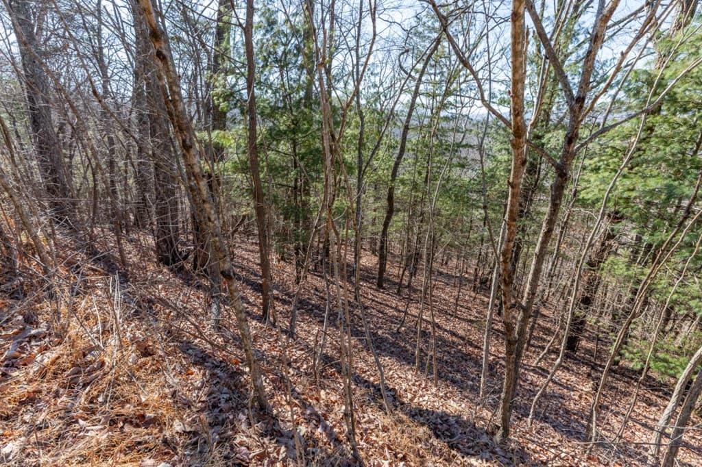 Lot 370 Thirteen Hundred, Blairsville GA 30512 - Photo