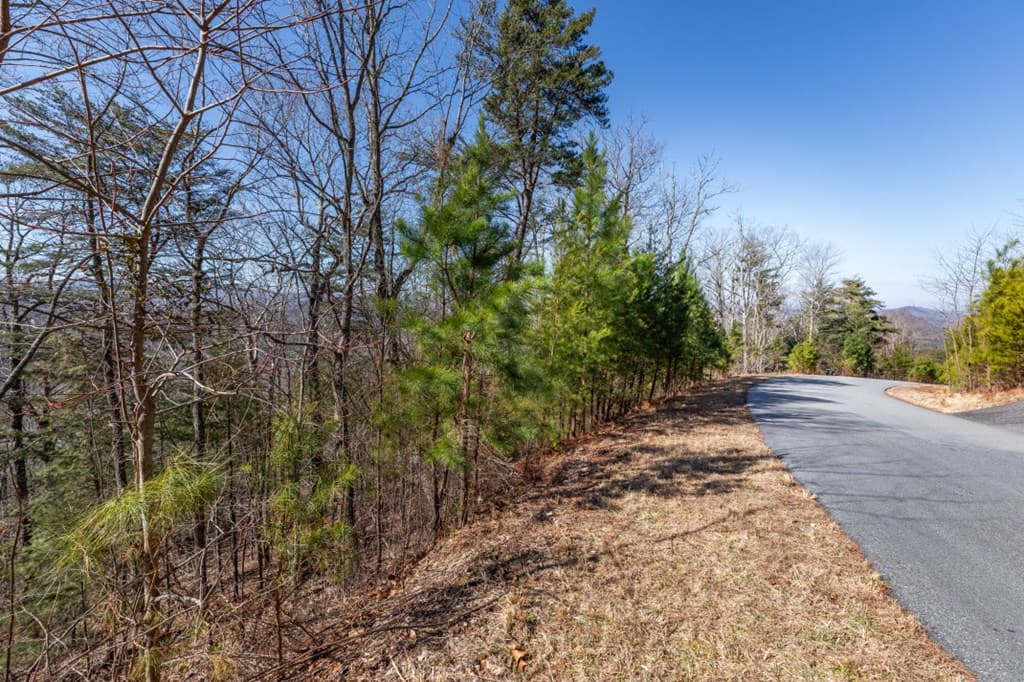 Lot 370 Thirteen Hundred, Blairsville GA 30512 - Photo