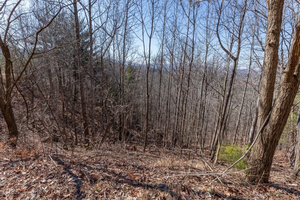 Lot 370 Thirteen Hundred, Blairsville GA 30512 - Photo