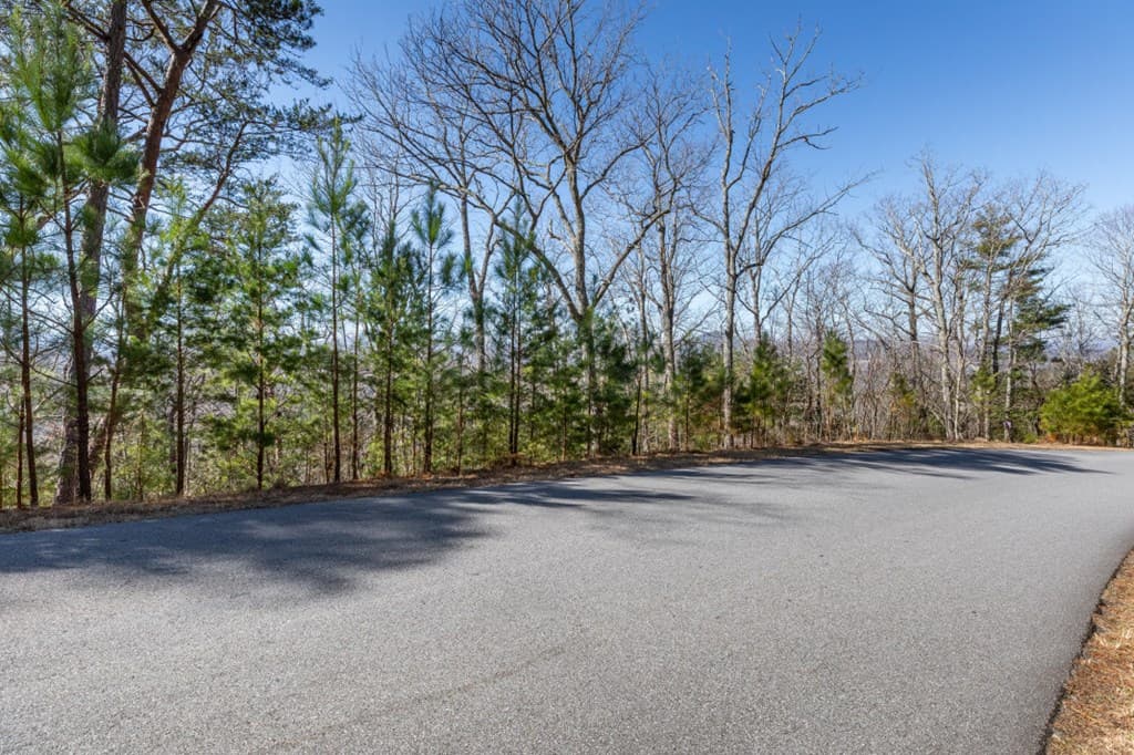 Lot 370 Thirteen Hundred, Blairsville GA 30512 - Photo