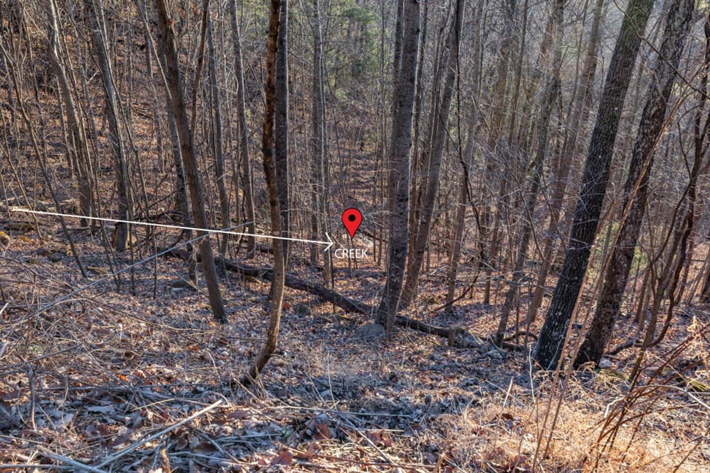 Lot 370 Thirteen Hundred, Blairsville GA 30512 - Photo