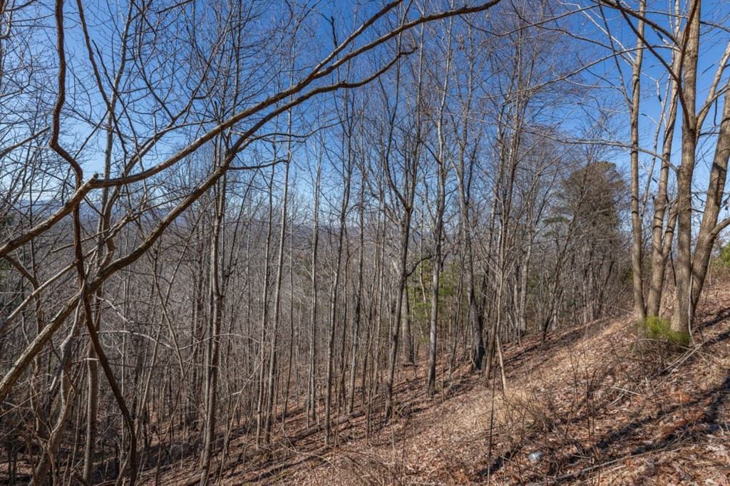 Lot 370 Thirteen Hundred, Blairsville GA 30512 - Photo