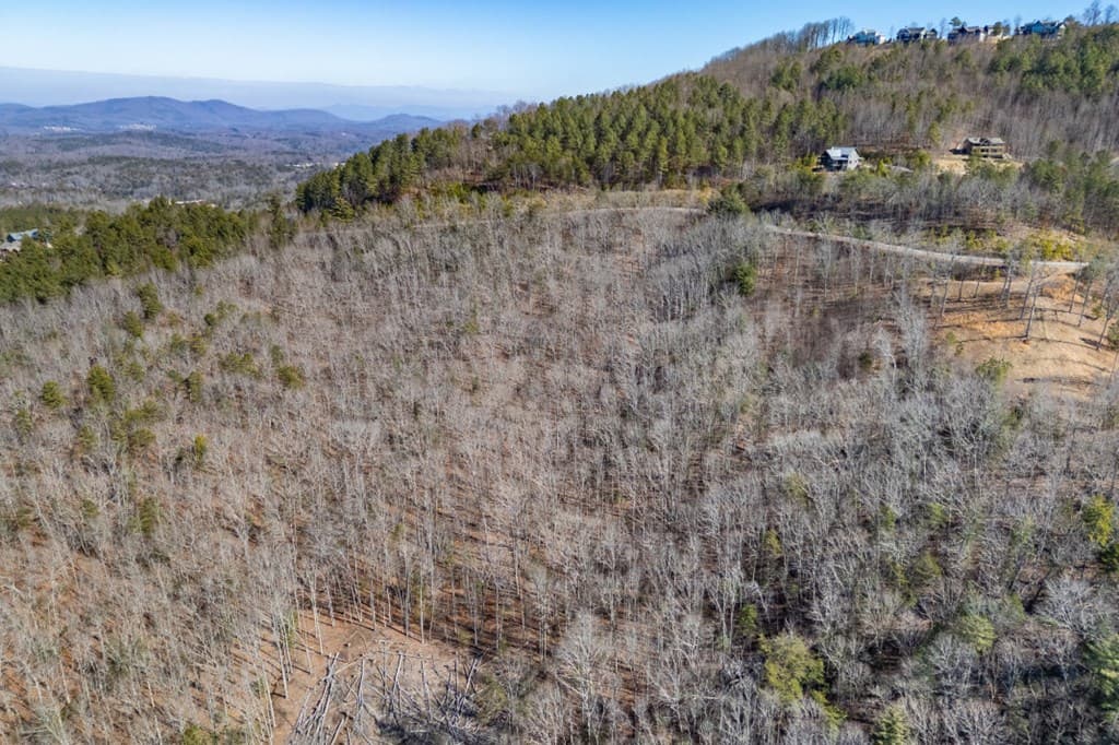Lot 370 Thirteen Hundred, Blairsville GA 30512 - Photo