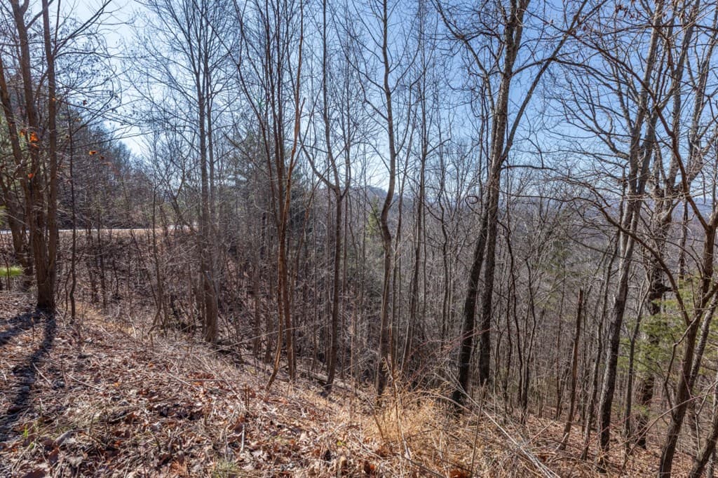Lot 370 Thirteen Hundred, Blairsville GA 30512 - Photo