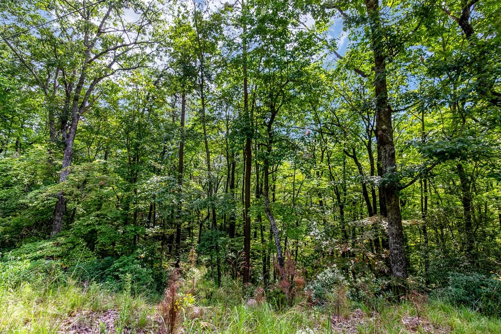 4.69 AC Rockwater Road, Ellijay GA 30536 - Photo