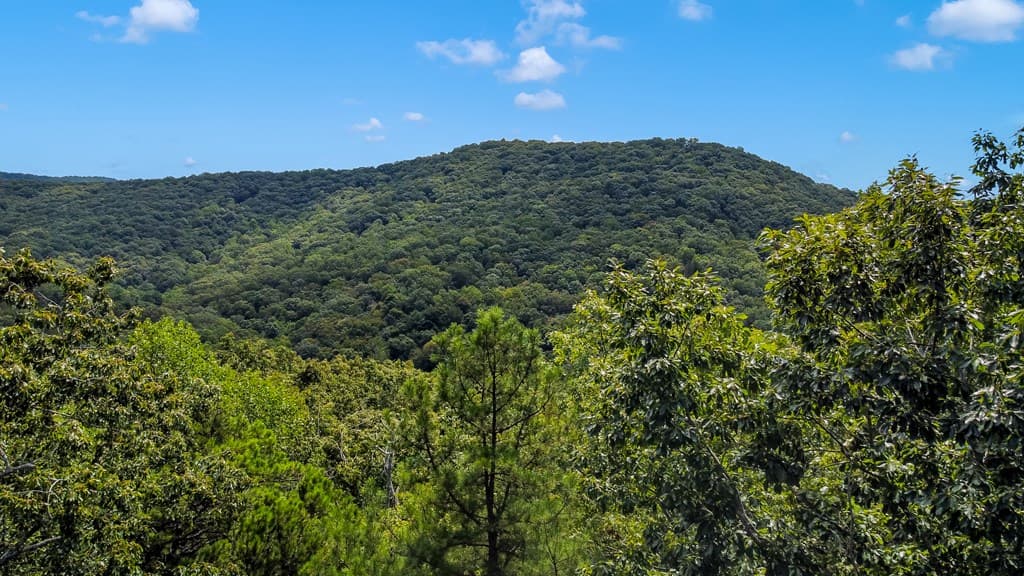 4.69 AC Rockwater Road, Ellijay GA 30536 - Photo