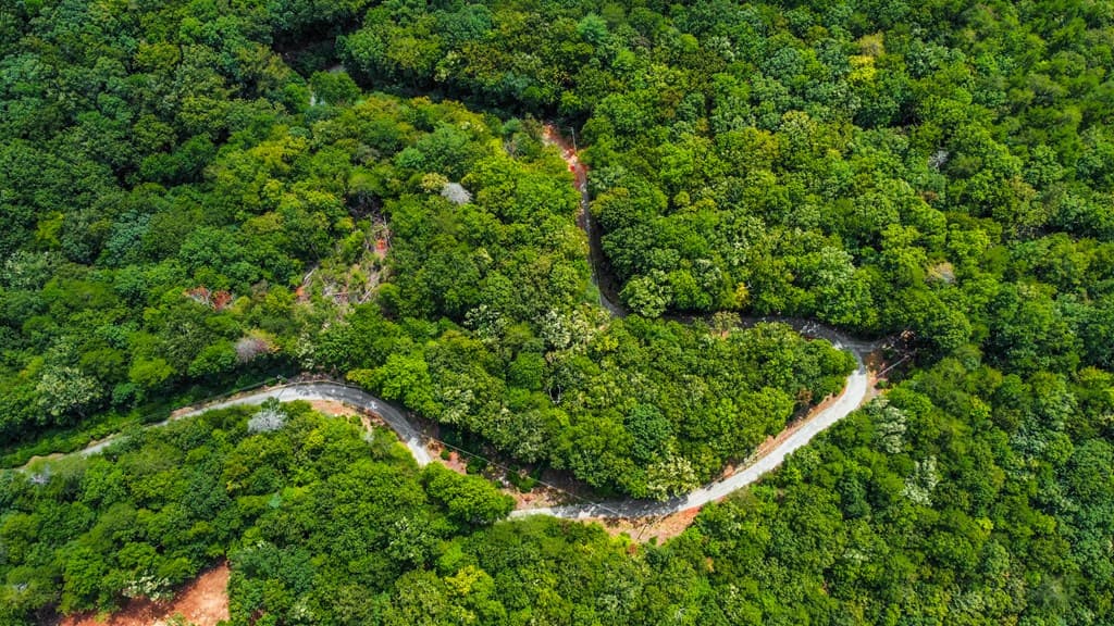 4.69 AC Rockwater Road, Ellijay GA 30536 - Photo
