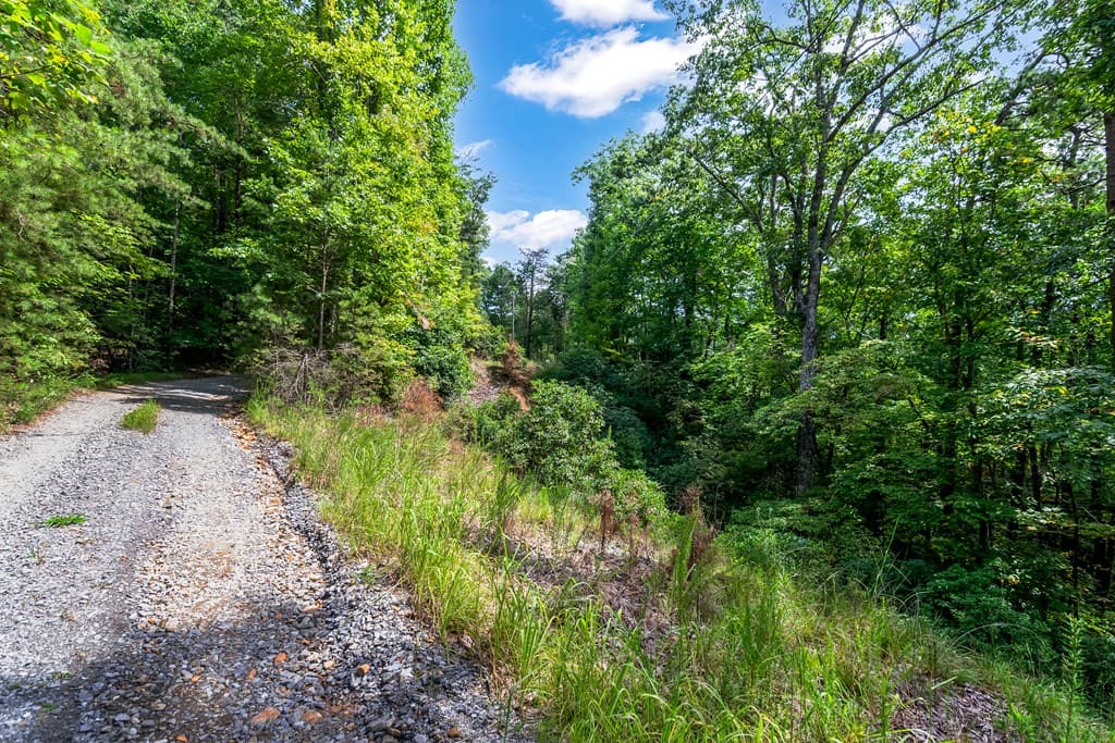 4.69 AC Rockwater Road, Ellijay GA 30536 - Photo