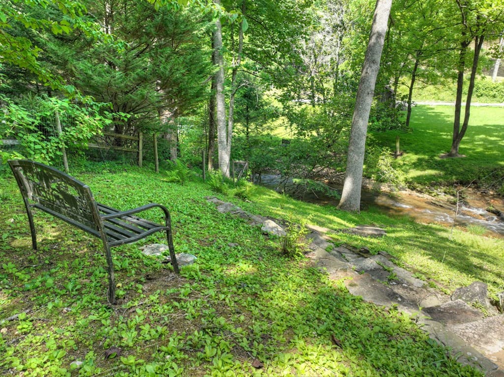 106 Butler Creek Road, Cherry Log GA 30522 - Photo