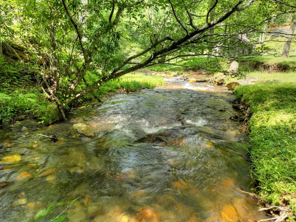 106 Butler Creek Road, Cherry Log GA 30522 - Photo