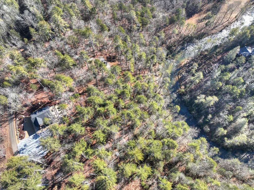 1312 Hicks Ford Road, Ellijay GA 30540 - Photo