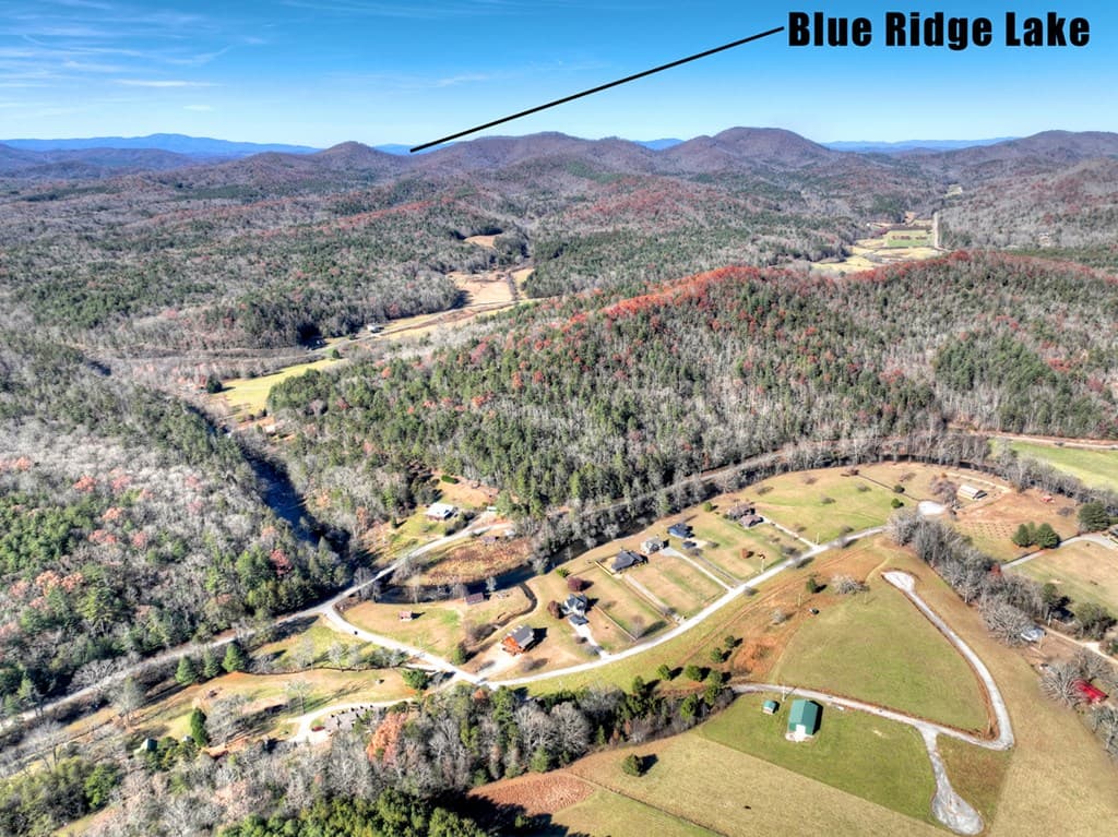 47 Downy Road, Blue Ridge GA 30513 - Photo