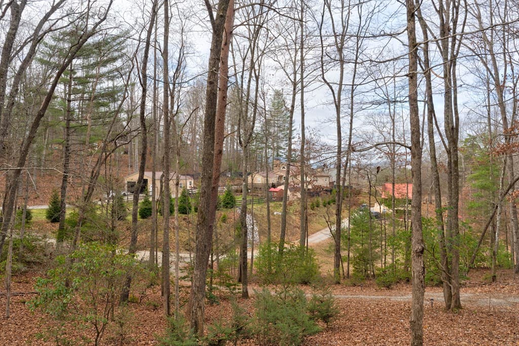 80 Treetop Lane, Blairsville GA 30512 - Photo