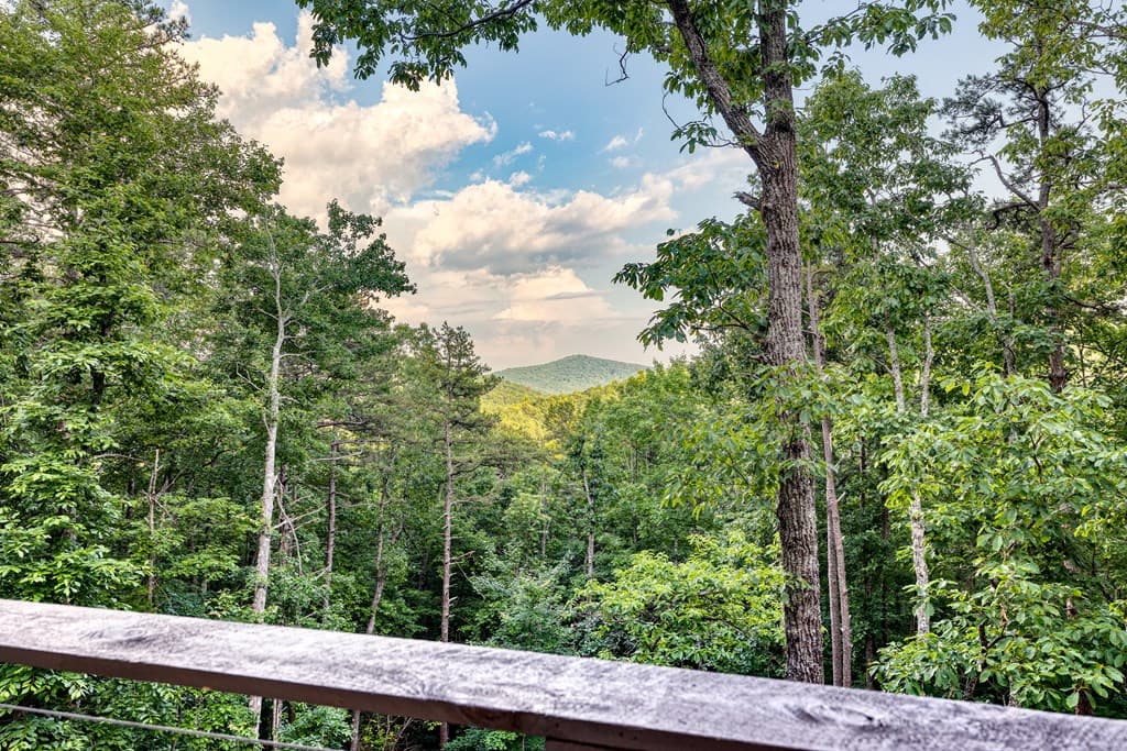 281 Raintree Bend, Blue Ridge GA 30513 - Photo