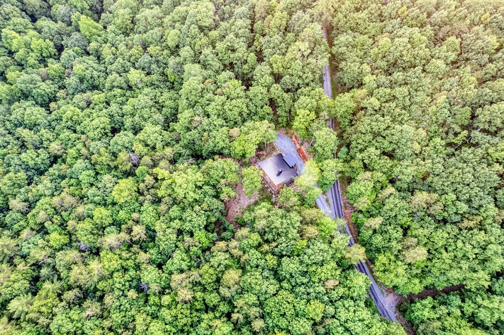 281 Raintree Bend, Blue Ridge GA 30513 - Photo