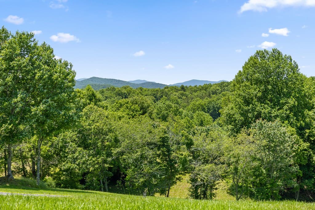 171 Big Valley Drive, Morganton GA 30560 - Photo