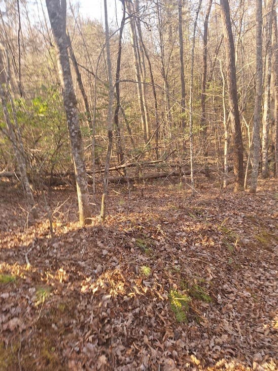 lots Bent Wood Lane, Blue Ridge GA 30513 - Photo