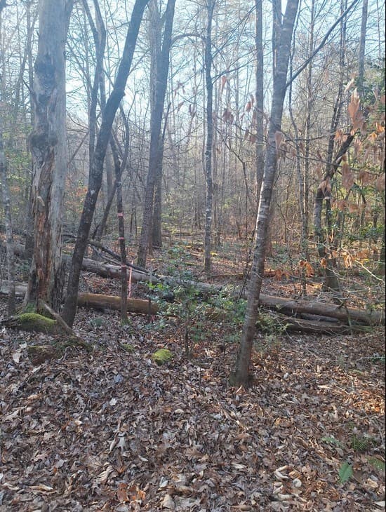 lots Mill Creek Acres, Blue Ridge GA 30513 - Photo