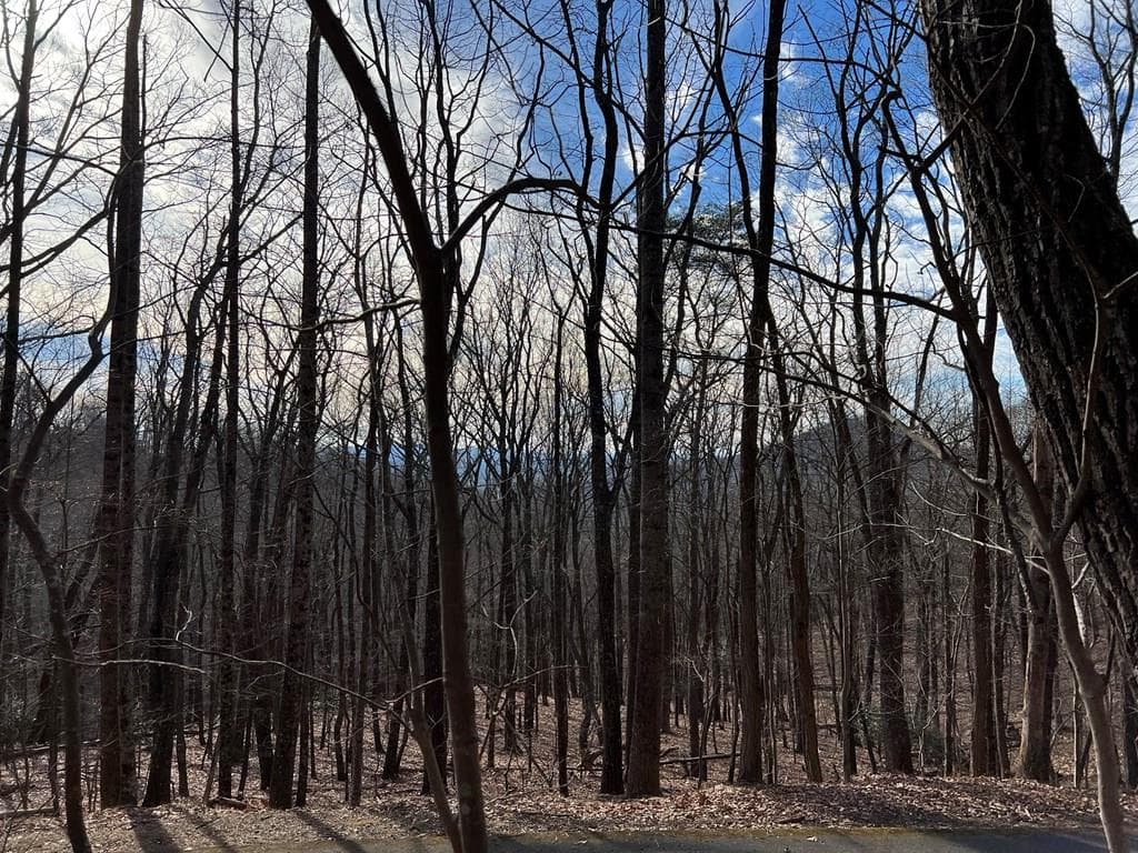 4528 Sassafras Mountain Trail, Jasper GA 30143 - Photo