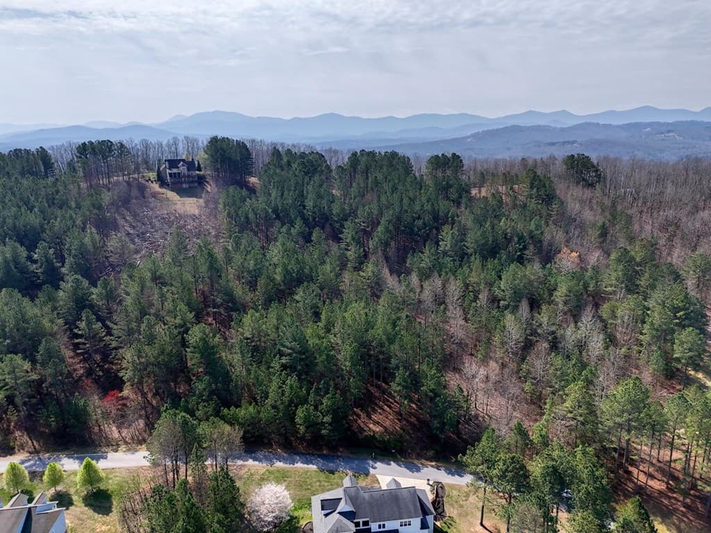 lot 38 Loftis Mountain, Blairsville GA 30512 - Photo