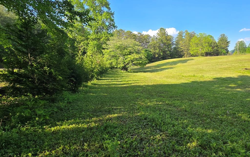 7.93 Cutcane Road, Mineral Bluff GA 30559 - Photo