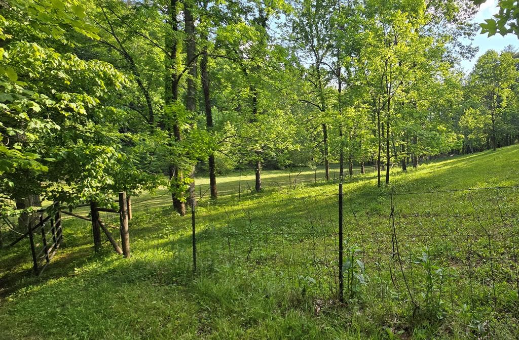 7.93 Cutcane Road, Mineral Bluff GA 30559 - Photo