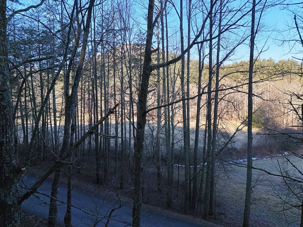 Lot 1 Papas Mountain Road, Blairsville GA 30512 - Photo