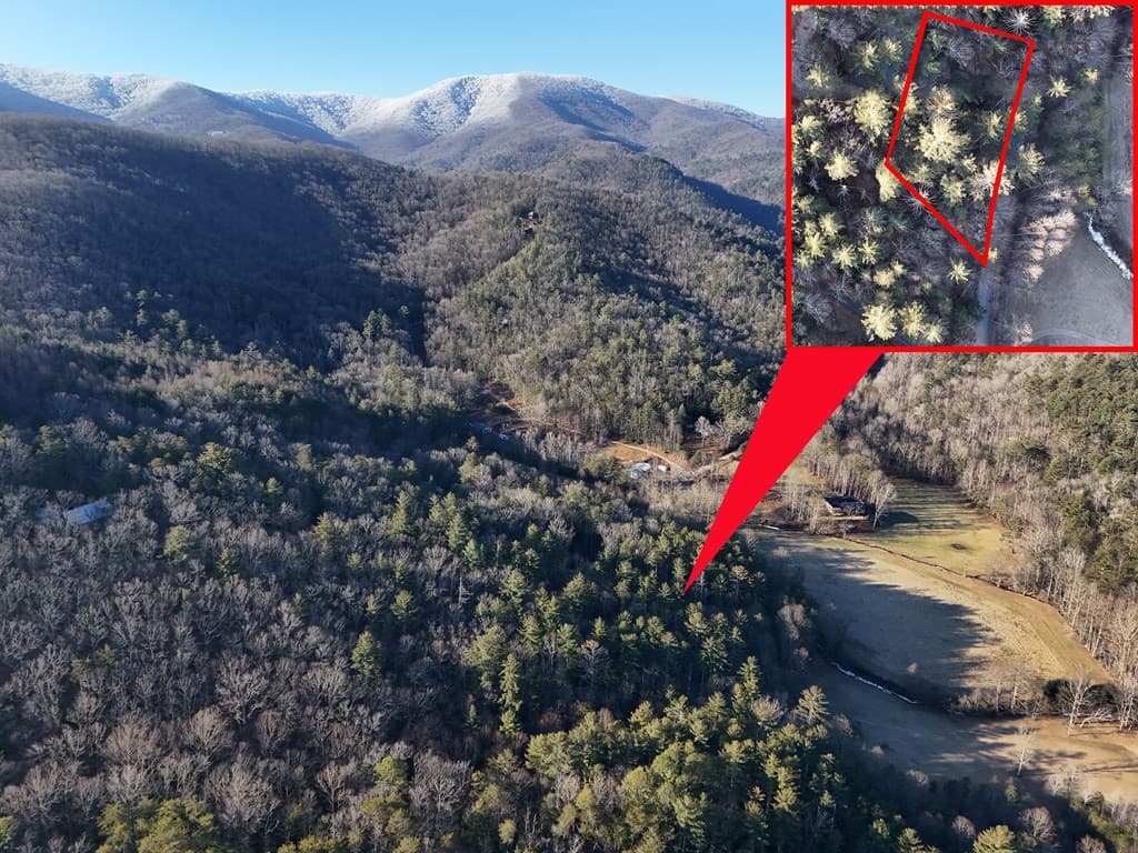 Lot 1 Papas Mountain Road, Blairsville GA 30512 - Photo