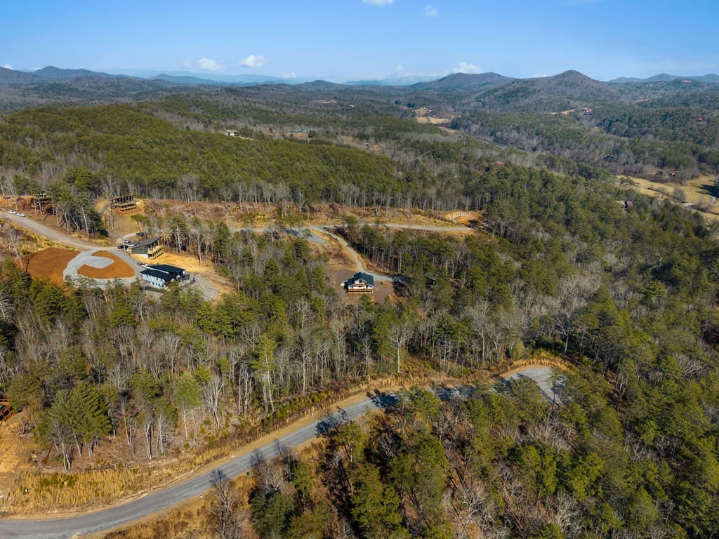 295 Mountain Laurel Ridge, Mineral Bluff GA 30559 - Photo