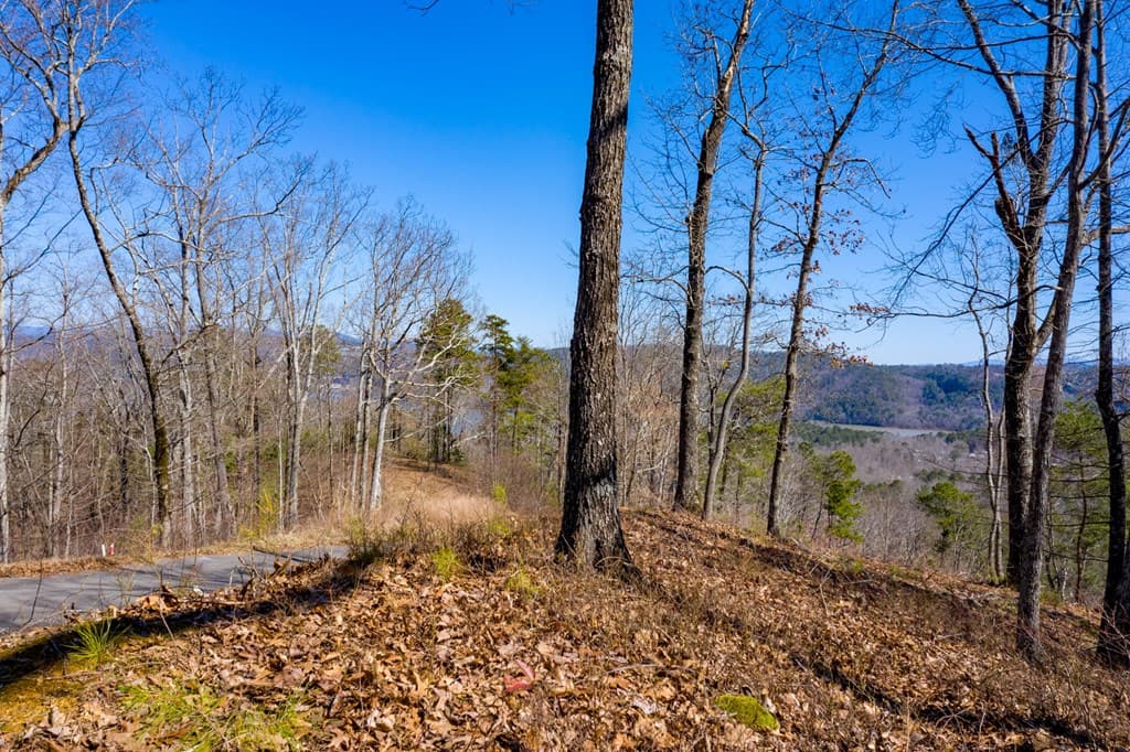 278 Carters Lake Overlook, Ranger GA 30734 - Photo