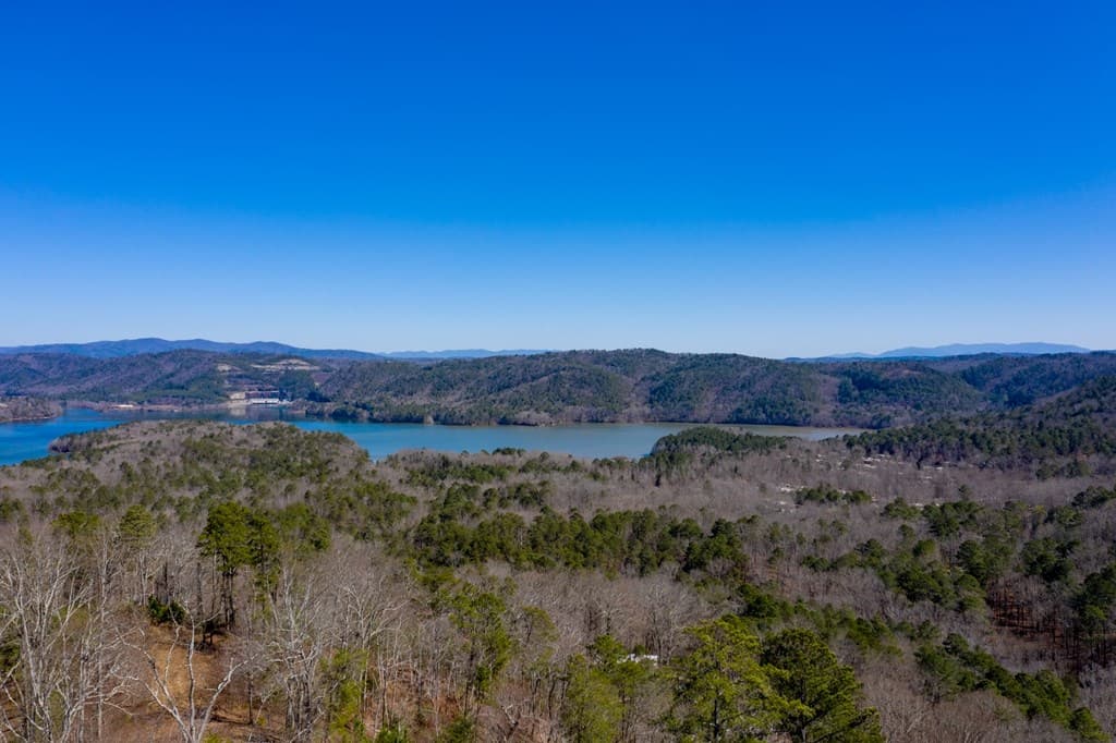 278 Carters Lake Overlook, Ranger GA 30734 - Photo