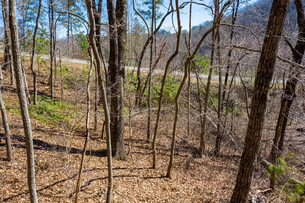 278 Carters Lake Overlook, Ranger GA 30734 - Photo