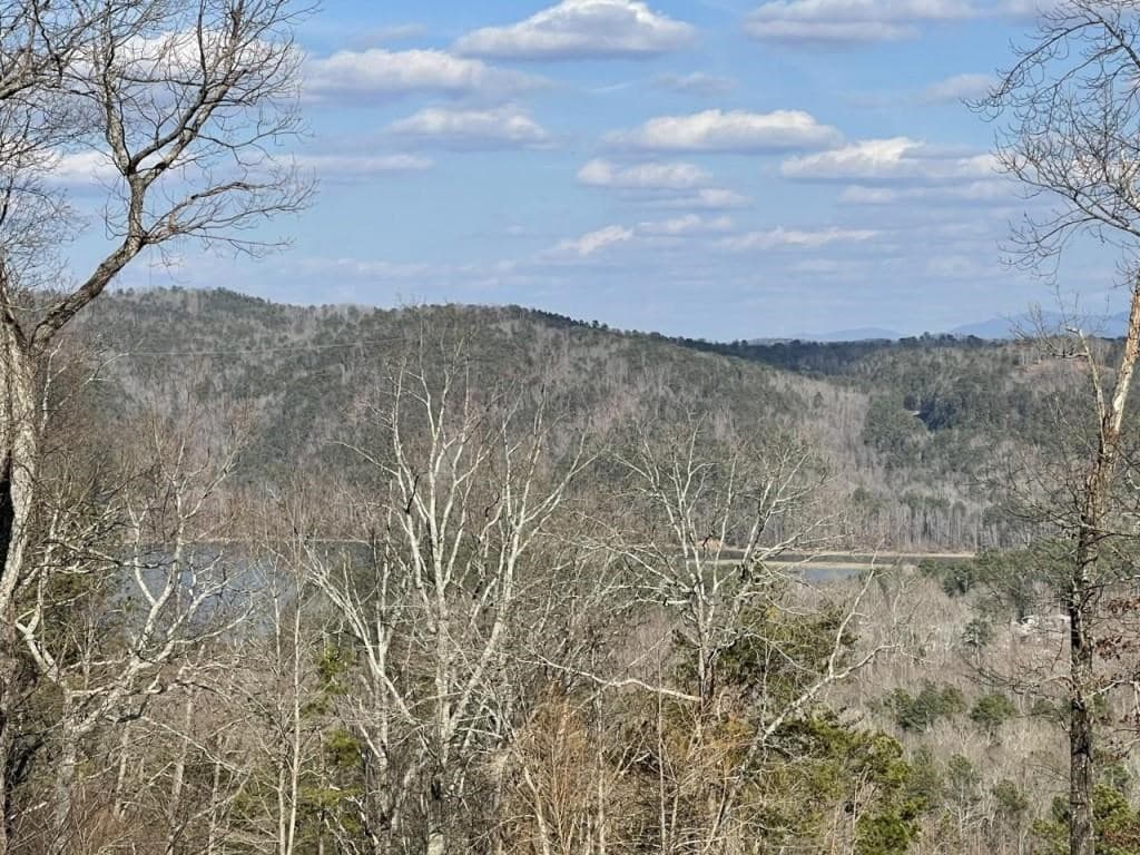 278 Carters Lake Overlook, Ranger GA 30734 - Photo