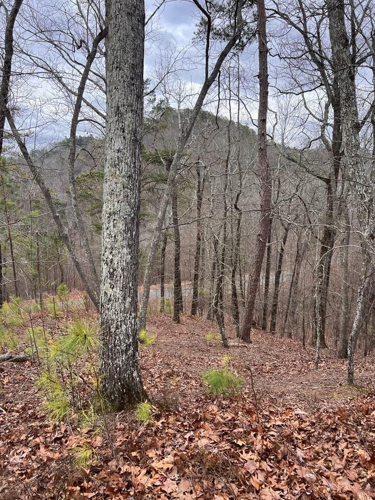 278 Carters Lake Overlook, Ranger GA 30734 - Photo