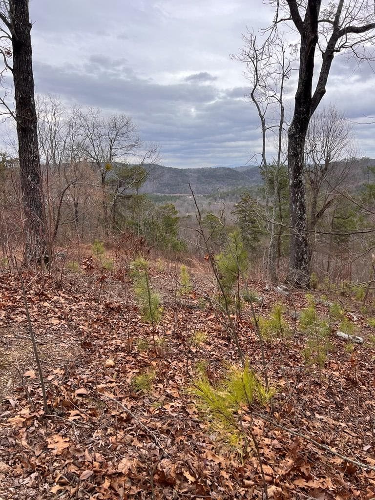278 Carters Lake Overlook, Ranger GA 30734 - Photo