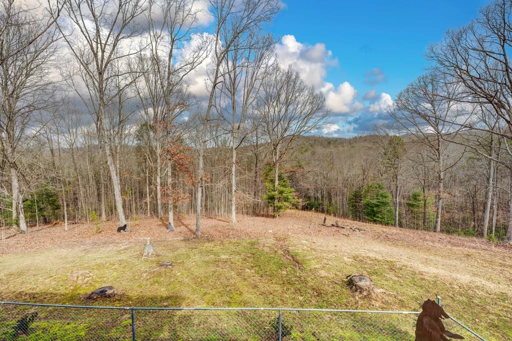 256 Bootlegger Road, Morganton GA 30560 - Photo