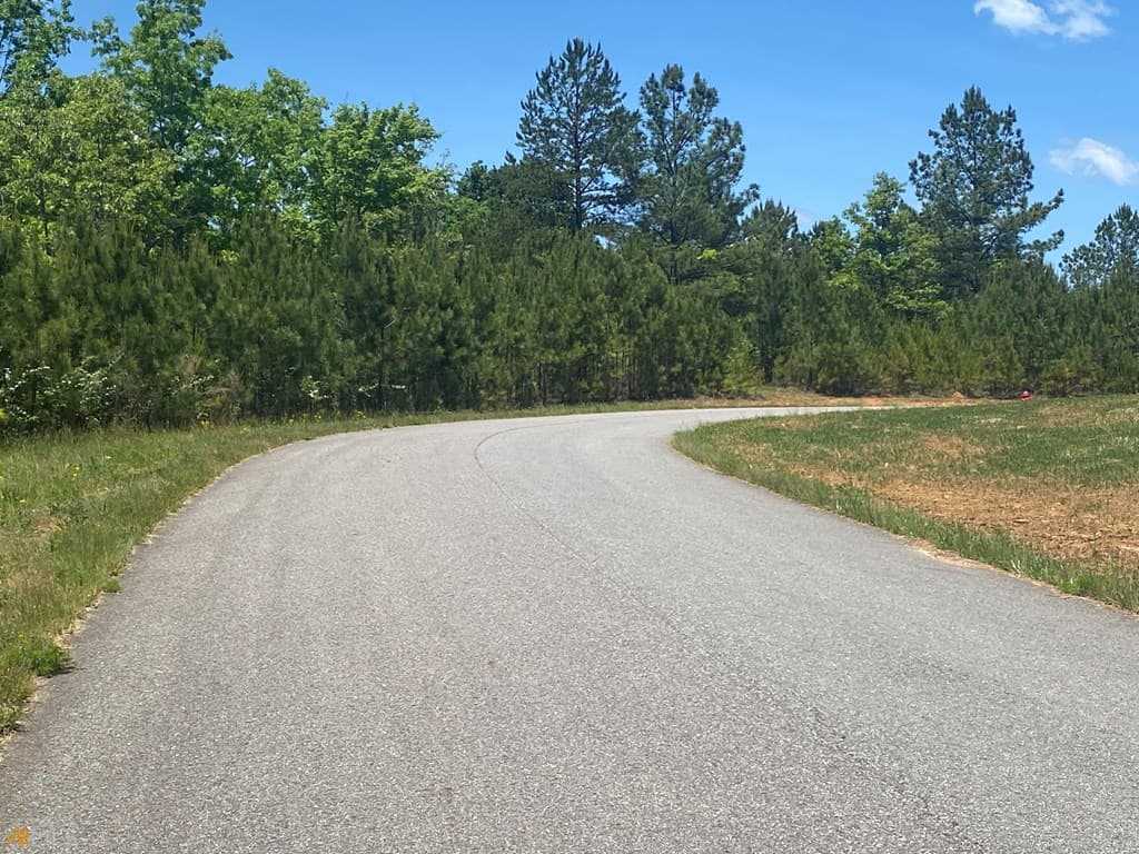 Lot 55 Village Loop, Blairsville GA 30512 - Photo