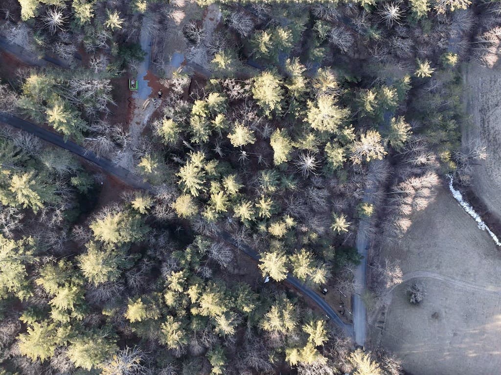Lot 2 Papas Mountain Road, Blairsville GA 30512 - Photo