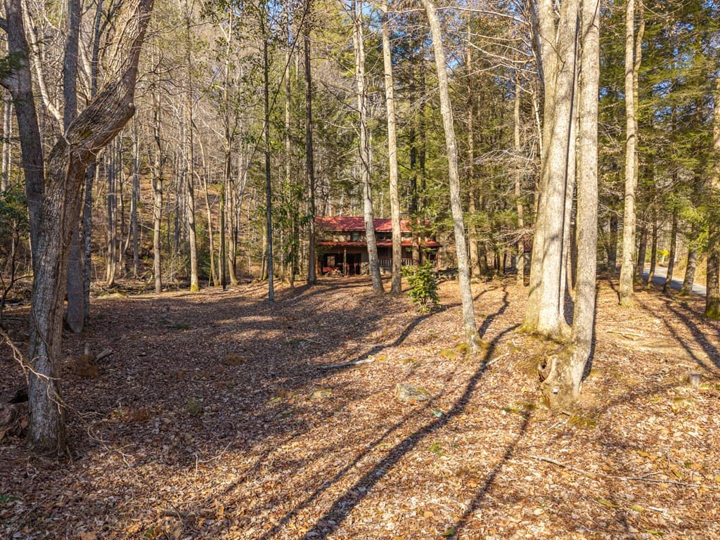 5411 Turniptown Road, Ellijay GA 30536 - Photo