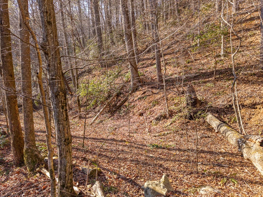 5411 Turniptown Road, Ellijay GA 30536 - Photo